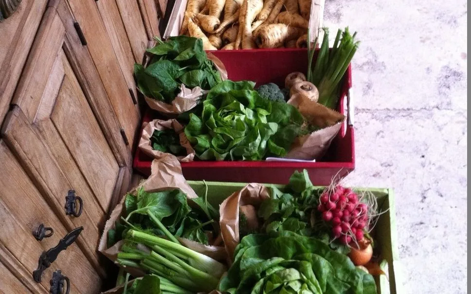 Menu_La Table des Orangeries_Lussac-les-Châteaux_immagine_9