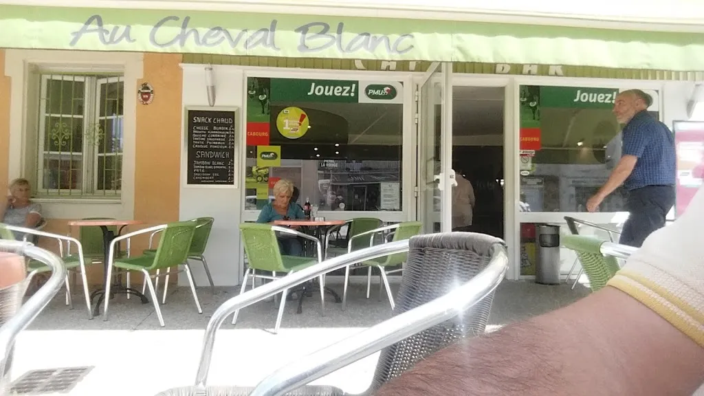 Alain Vivet_Le Cheval Blanc_Lussac-les-Châteaux_review