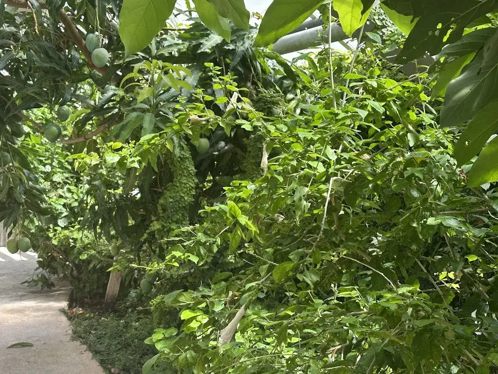 Clothilde Bastier_La Bisquine_Civaux_recensione