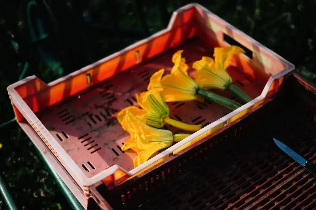 Menu_Ferme de Garance_Magnac-Laval_immagine_4