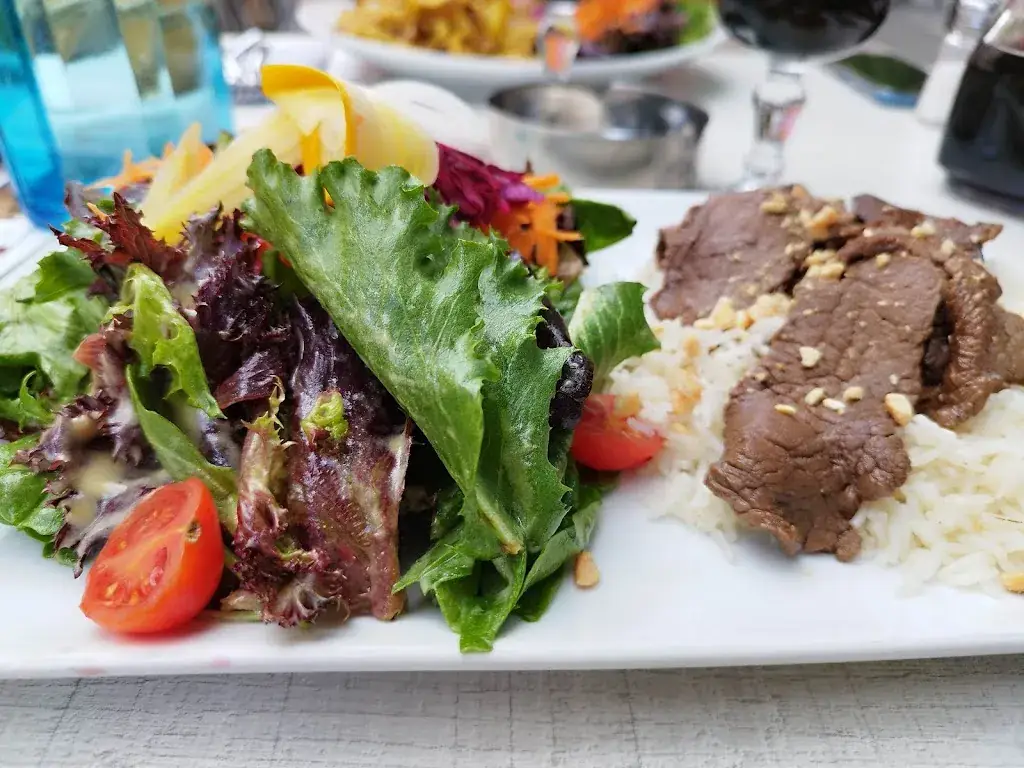 georges panitskas_Restaurant La Limousine_Malemort_review