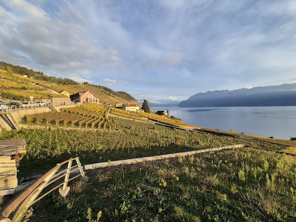 Chema Gonzalez_Auberge du vigneron_Bourg-en-Lavaux_review