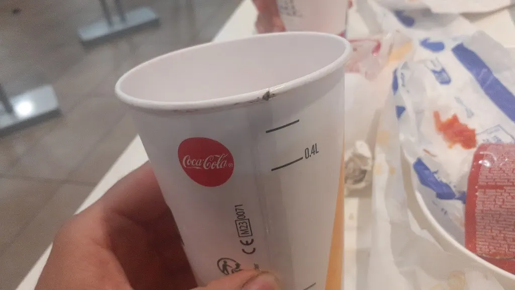 Menu_McDonald's_Mazères-Lezons_image_5