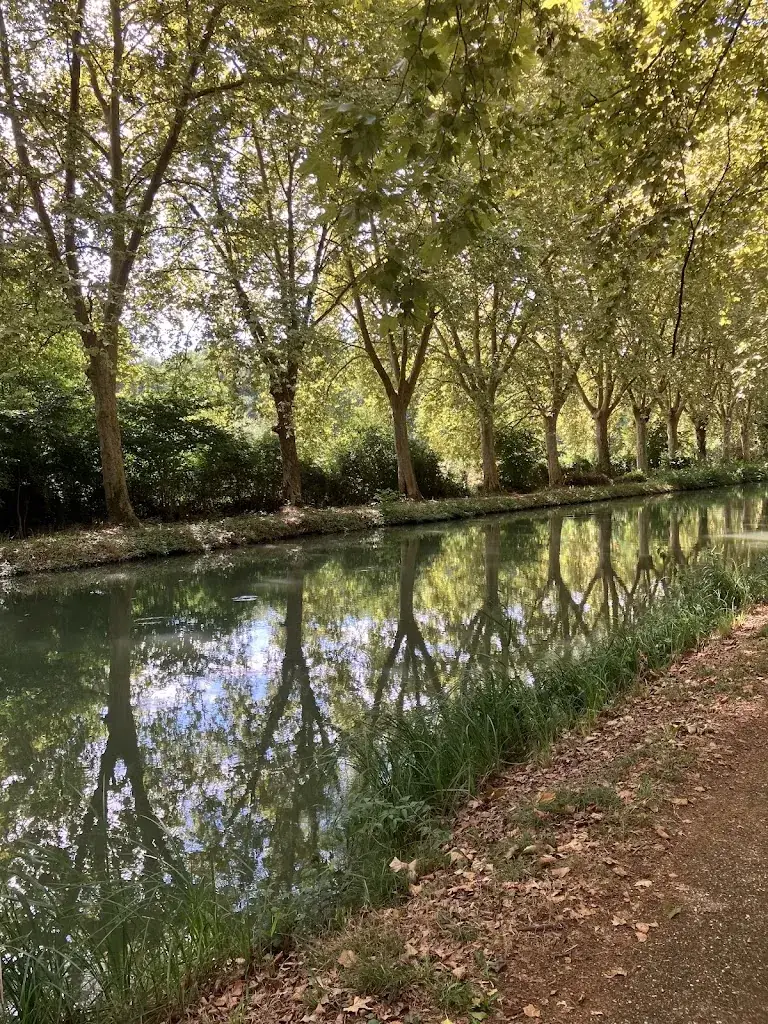Hans van der Burght_Halte nautique Les platanes de Meilhan sur Garonne_Meilhan-sur-Garonne_review