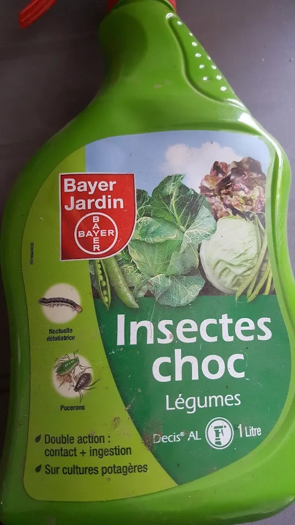 Ceccon Philippe_Sainte-Bazeille_slider_image_2