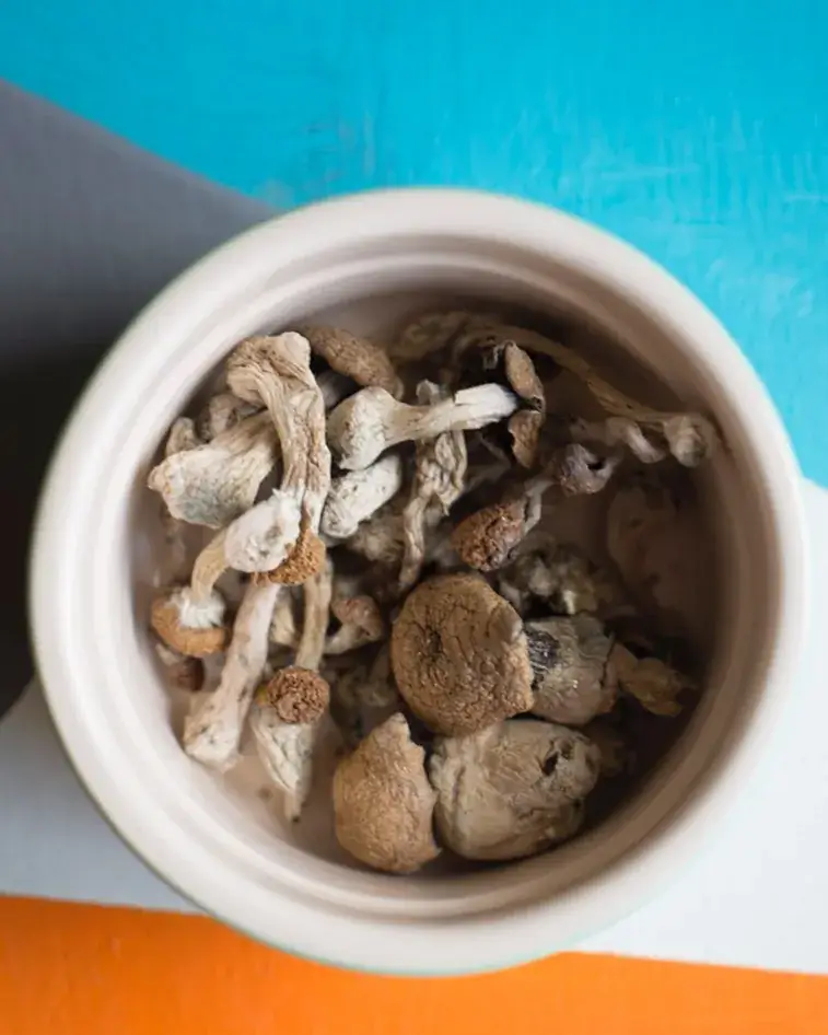 Jonathan Kiff_La Petite France_Migné-Auxances_review