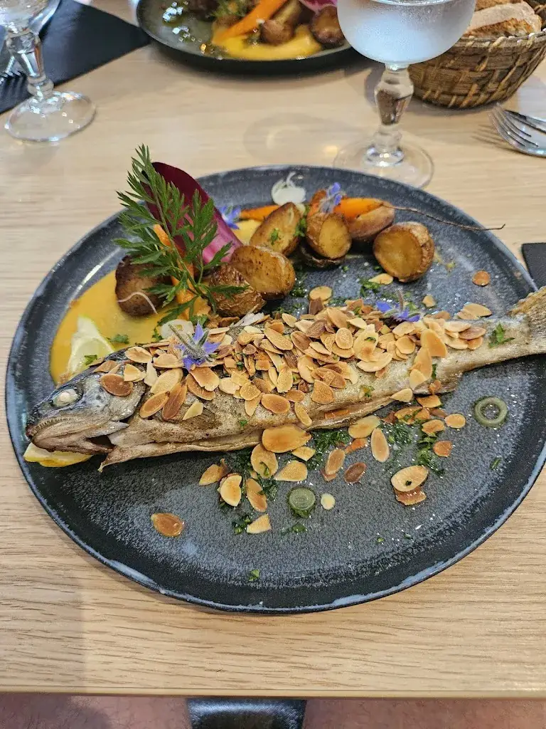 Remi G_La Bachole_Bort-les-Orgues_review