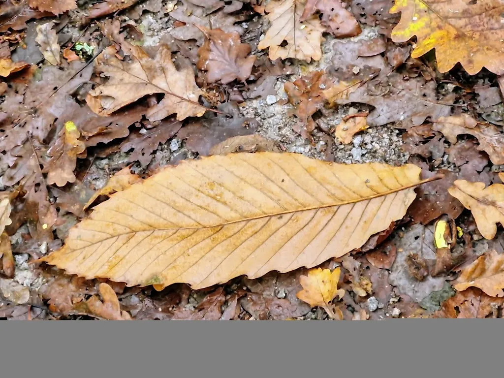 Le Saint Pierre_Moncoutant_slider_image_2