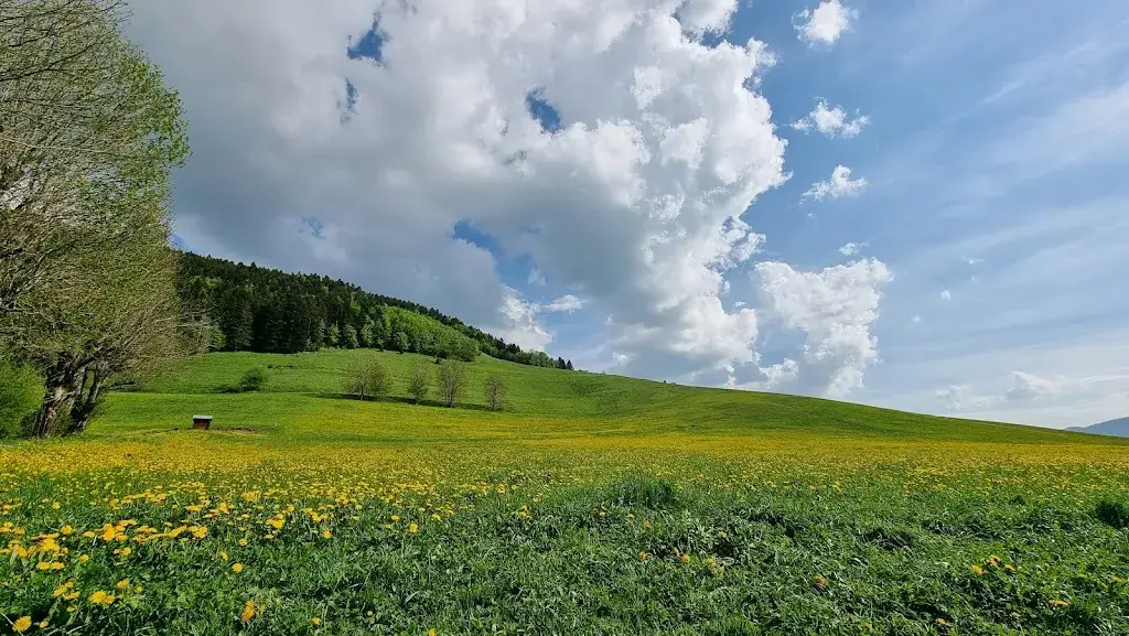 La Cabane de l'Aigle_Lans-en-Vercors_slider_image_3