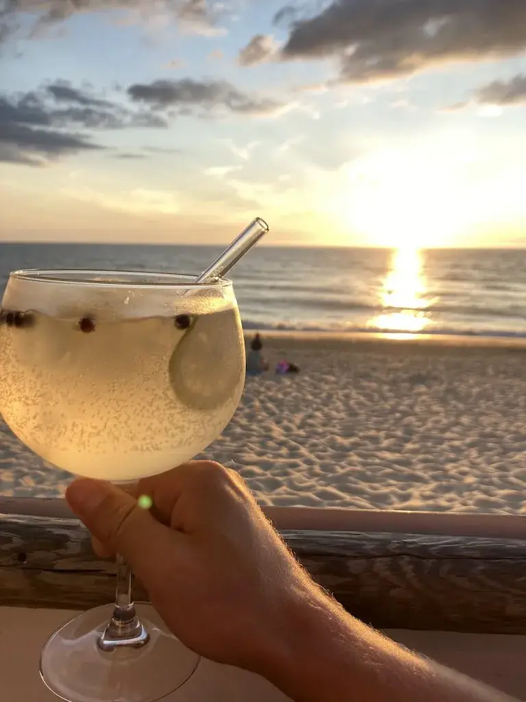 Sims On_La Sud_Mimizan_review