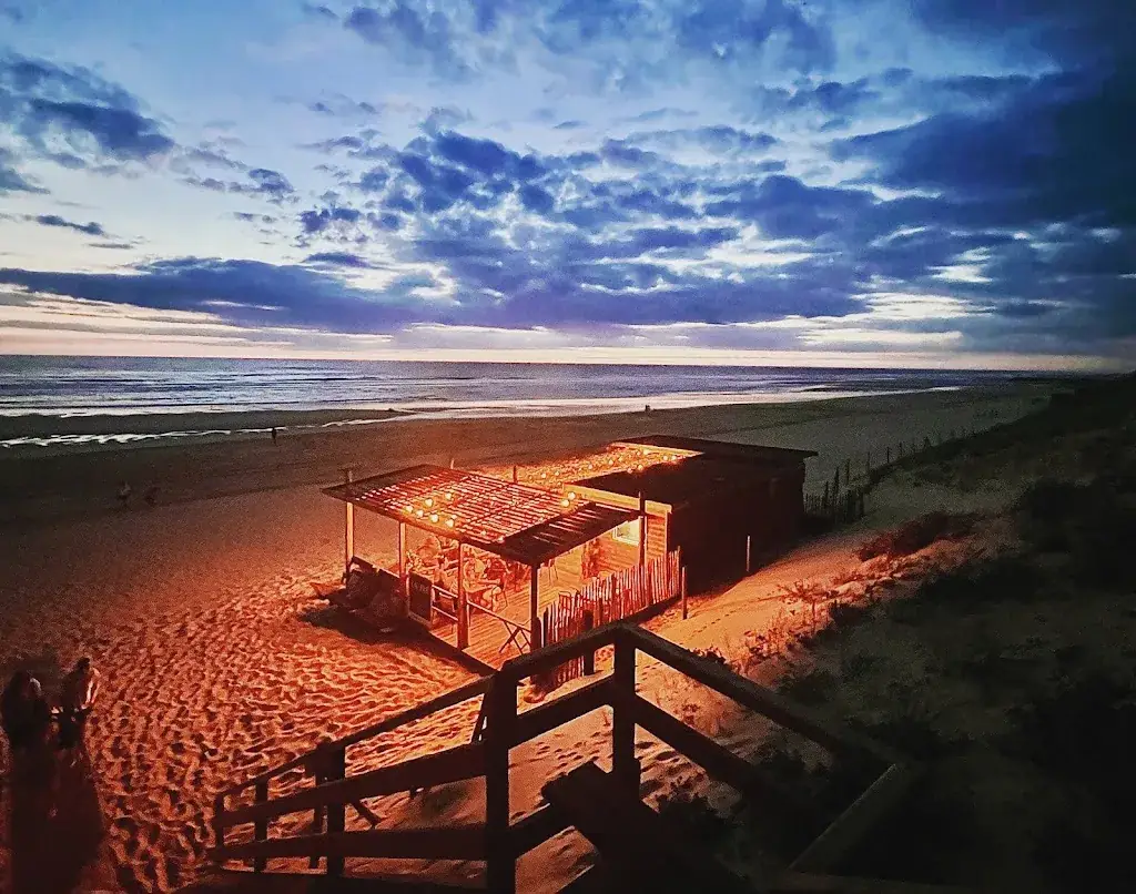 Steve Court_La Sud_Mimizan_review