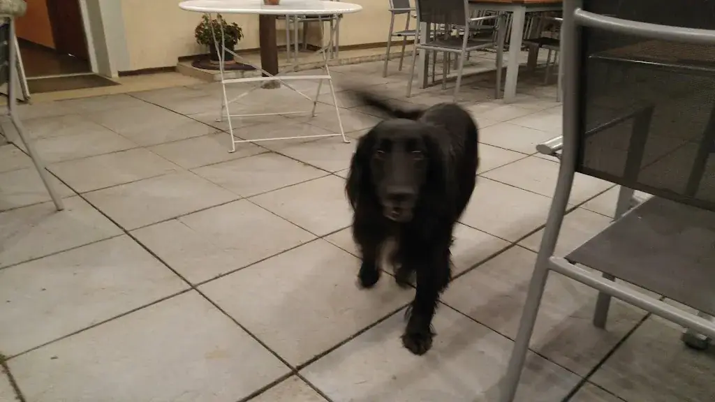 Kelly Torrance_La Pierre Blanche / Table et Chambres d'Hôtes_Sauvetat-sur-Lède_review