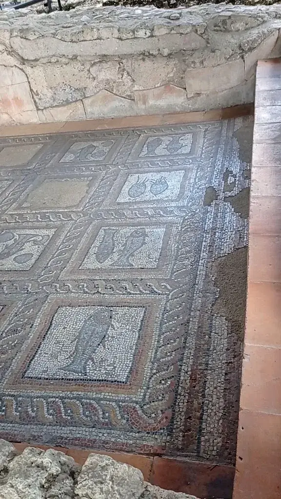 Archaeological site of Montcaret_Montcaret_slider_image_2