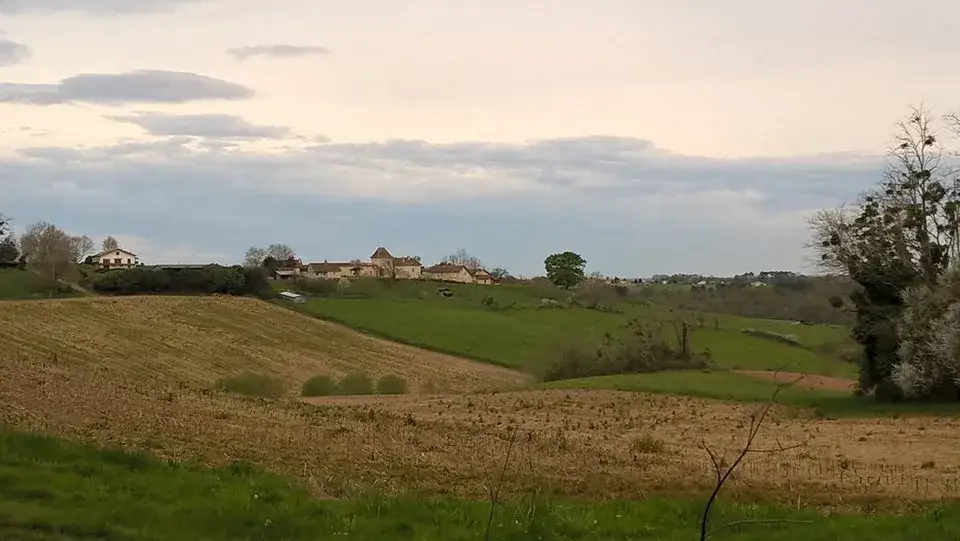 Restaurant Bar La Terrasse_Montfort-en-Chalosse_slider_image_3