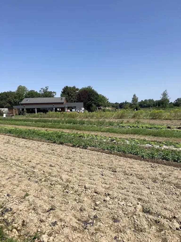 Jacquee Spano_Cueillette de l'aragnon_Montardon_recensione