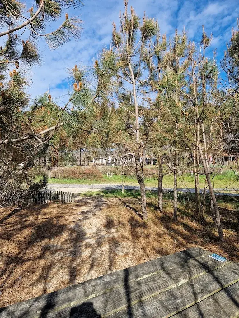 Michel SIX_Bar Tabac L'alambic_Montguyon_review