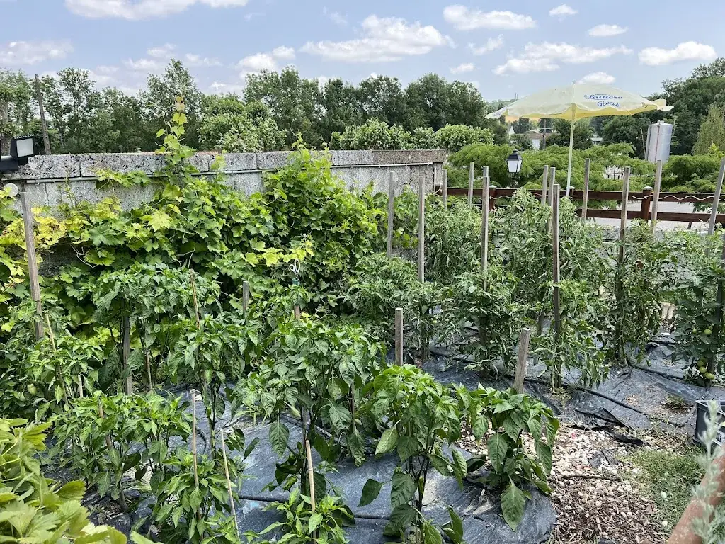 Matt_Le Bistroquet_Montmoreau_review