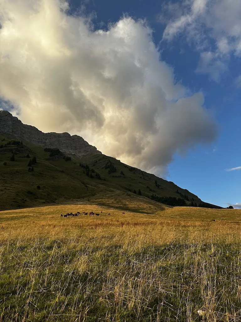 Clarissa Field_Restaurant Le Chalet Savoyard_Clusaz_review