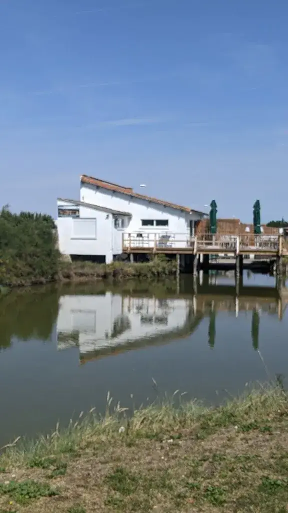 Karen Harper_Le Parc des Graves_Mornac-sur-Seudre_review