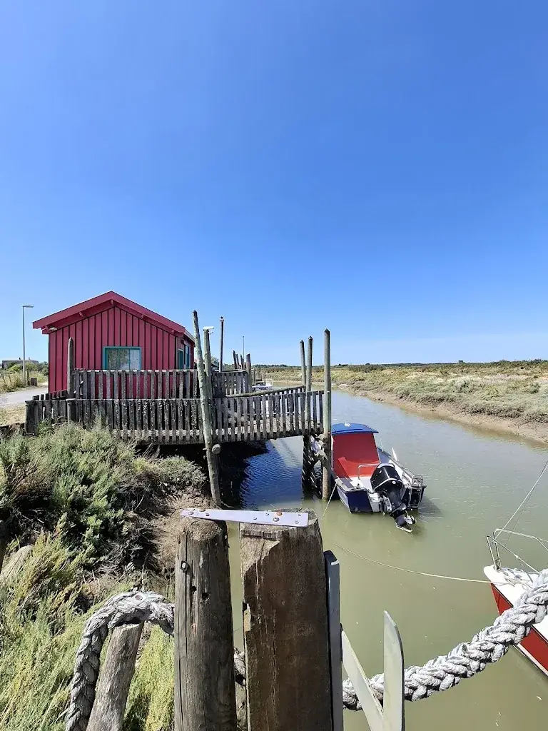 Angélique Lemey_Le Parc des Graves_Mornac-sur-Seudre_review