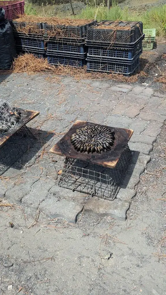 Le Parc des Graves_Mornac-sur-Seudre_slider_image_2