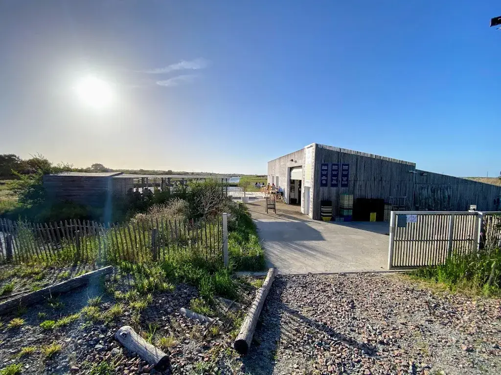 Vojtěch Wostrý_BIVOUAC_Mornac-sur-Seudre_review