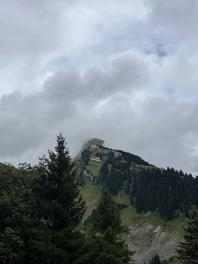 Dennis Waldon_Restaurant La Chenillette_Clusaz_recensione