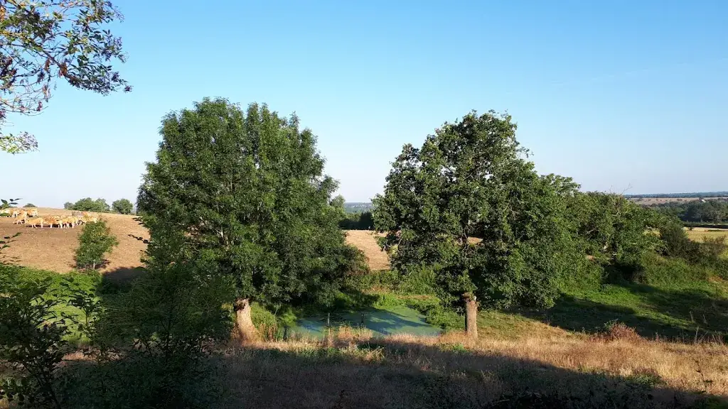 Claude Lepaul_Hostel Regueil_Nueil-les-Aubiers_review