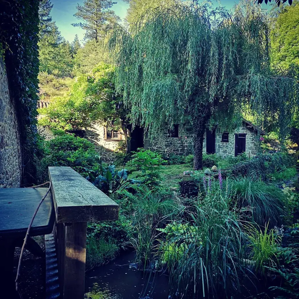 Mathieu Loiseau_Le Moulin de Chevillou_Saint-Gence_review