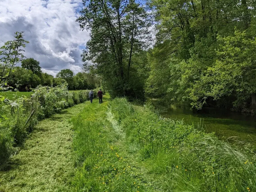 Mitch Vine_PETIT COURAULT_Pamproux_review