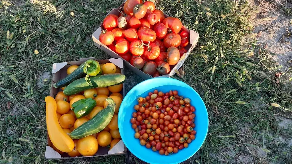 Menu_Restaurant Café du Midi_Soussac_image_7