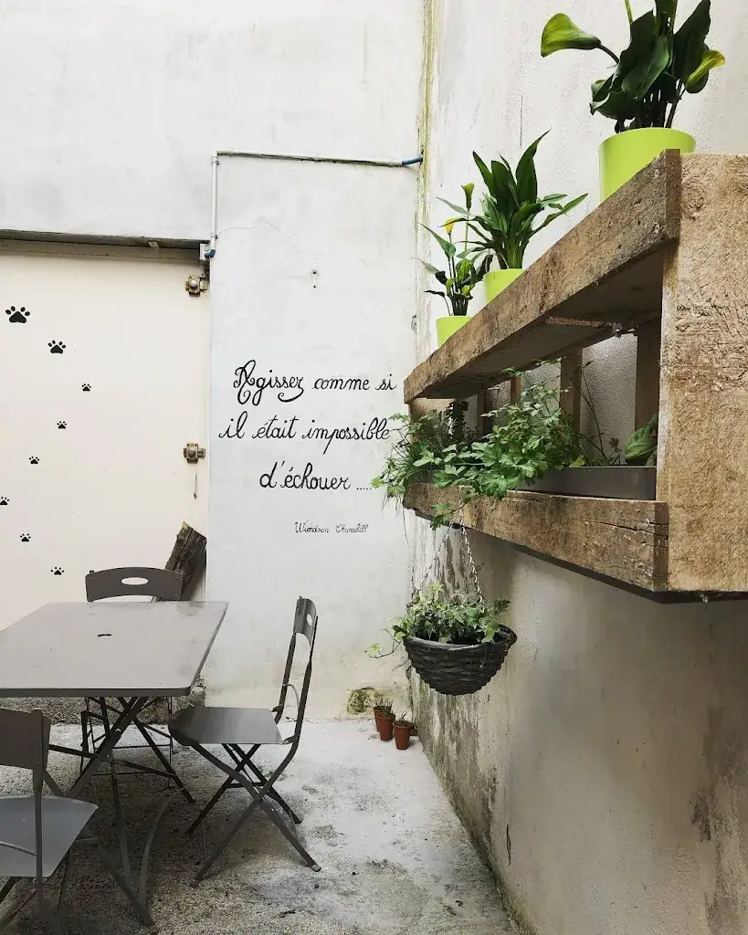 ronron et gourmandises restaurant à Orthez