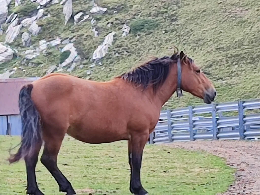 Didier Angladette_La Casa_Orthez_review