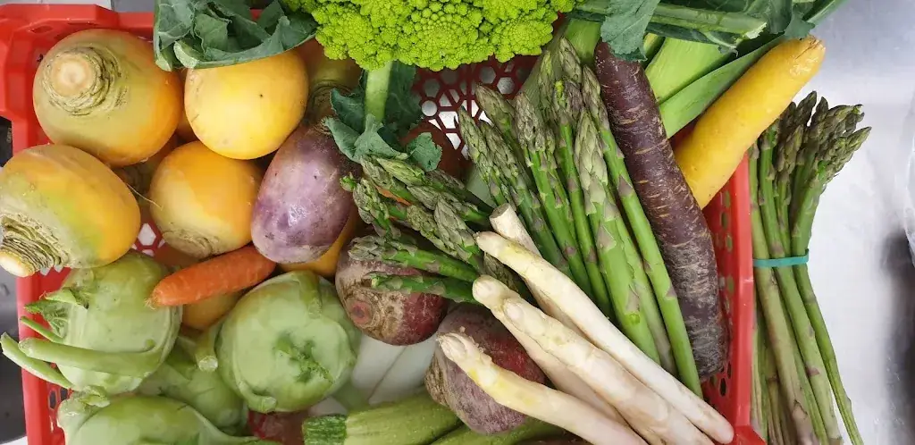 Restaurant La Caravelle Vassivière_Peyrat-le-Château_slider_image_2