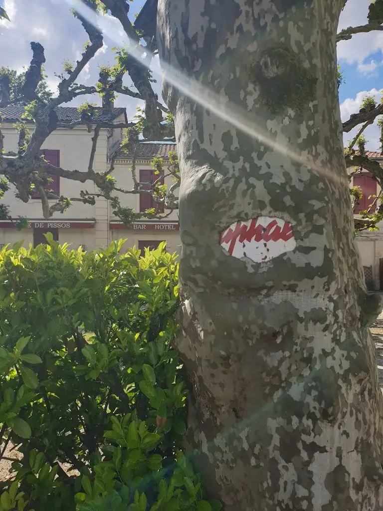 Restaurant le Café De Pissos_Pissos_slider_image_3