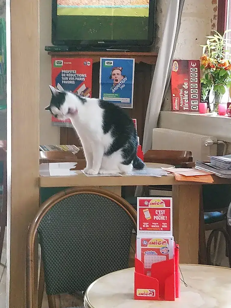 James Russell_Café des Sports_Piégut-Pluviers_review