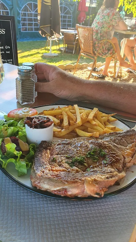 Harriet Ogilvie_The Crazy Frog_Saint-Estèphe_review