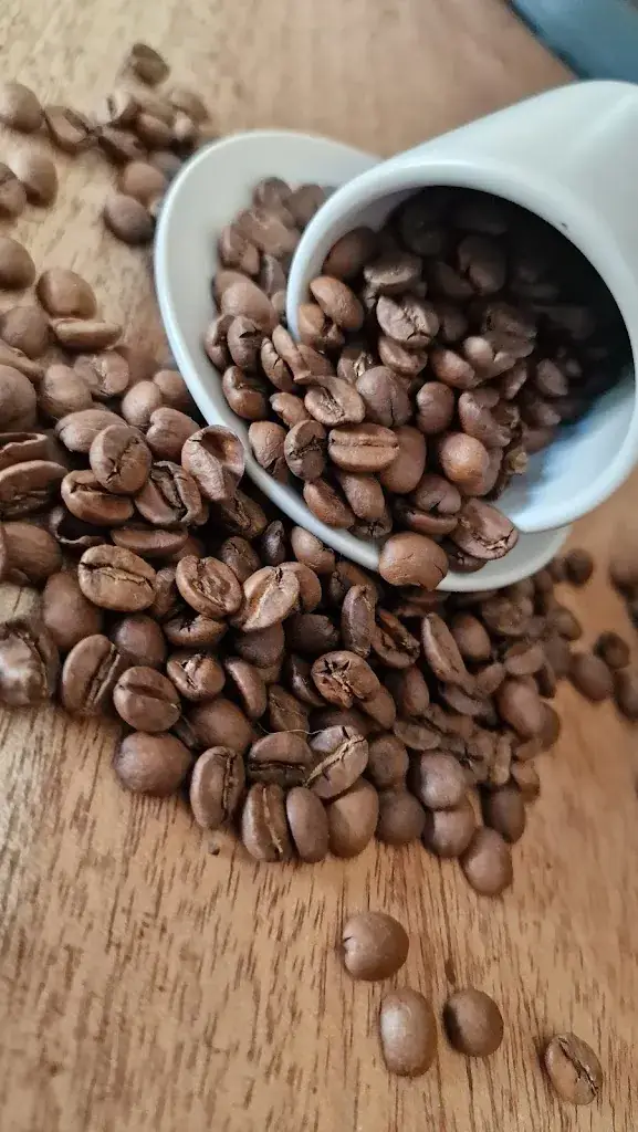 Menu_Bistrot Gourmand_Pomarez_image_2