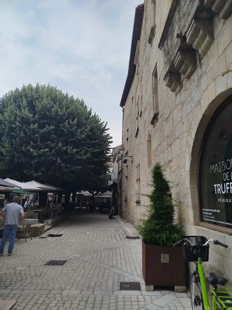 Clara González Ruiz_L'Esplanade_Périgueux_review