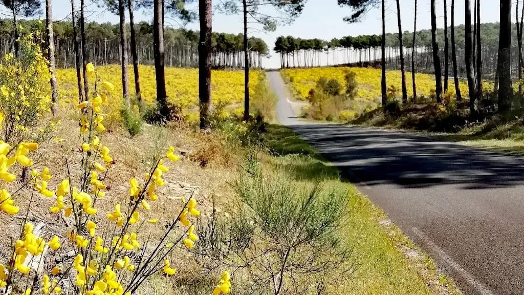 Happy food truck Burgers_Pontenx-les-Forges_slider_image_3