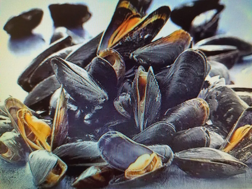 La Cabane de port des barques_Port-des-Barques_slider_image_3