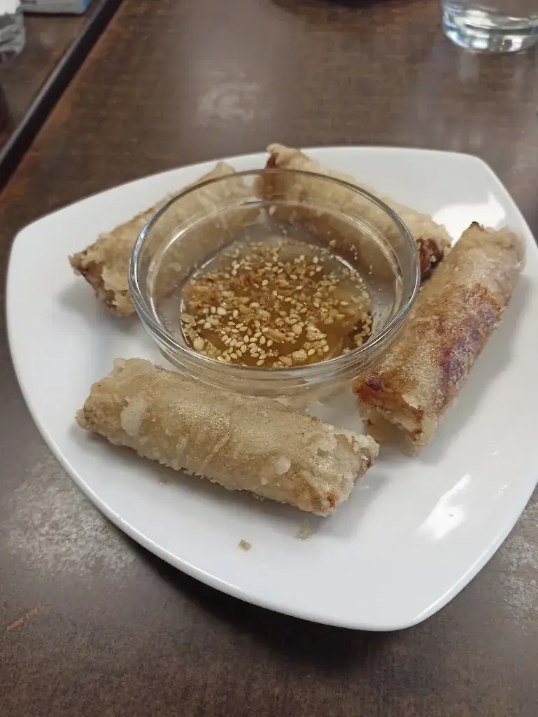 Cynthia Hilmi_L'Asie du Sud Est_Camblanes-et-Meynac_avis