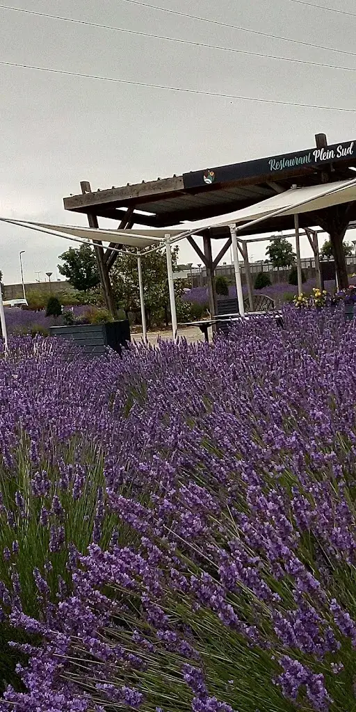 Restaurant Plein Sud_Puilboreau_slider_image_3