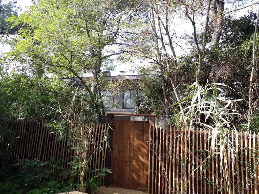 eric roche_Le Savoureux_Reignac_review