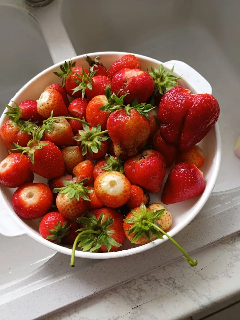 Menu_Lou Touping_Saubusse_immagine_7