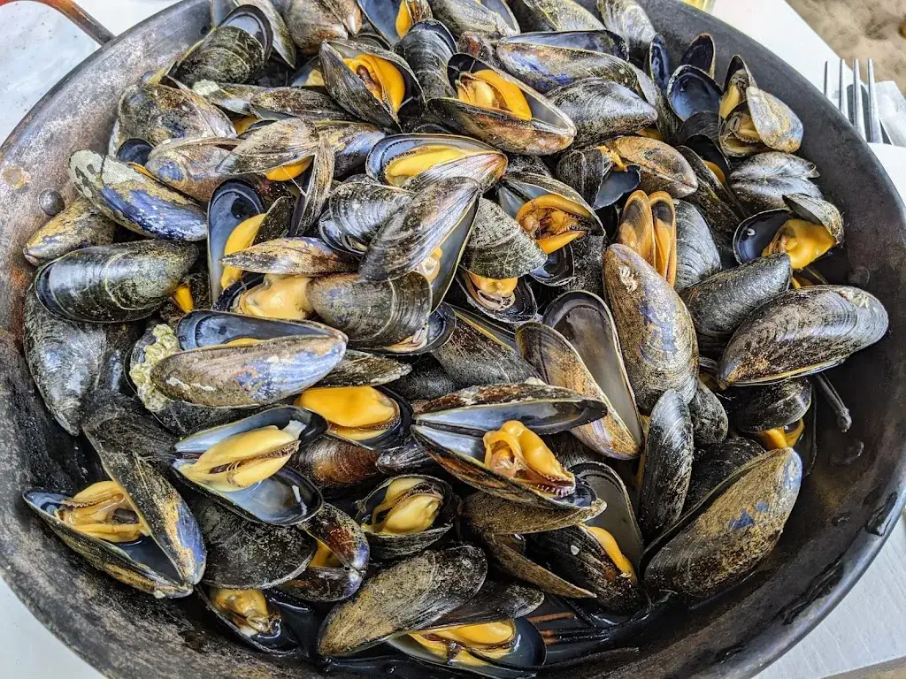 Menu_La Plage_Rivedoux-Plage_image_9