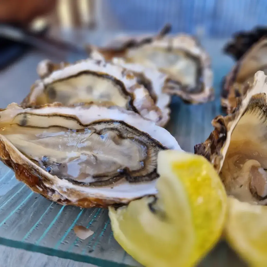 Amanda Martin_Chez Ré Monde_Rivedoux-Plage_review