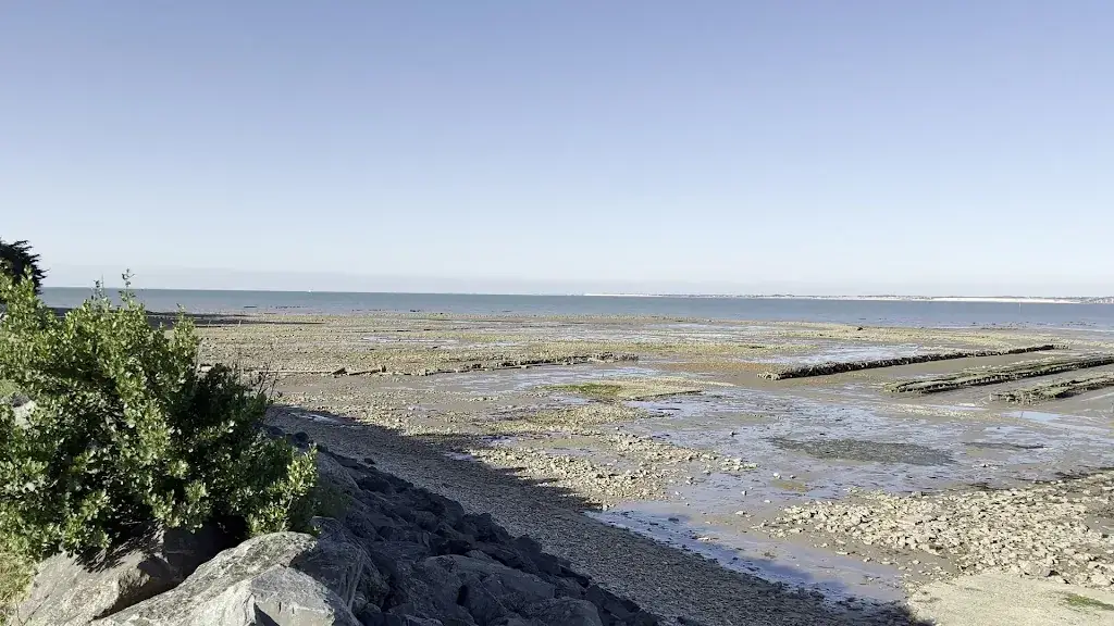 Huitres et Ma RÉ_Rivedoux-Plage_slider_image_2