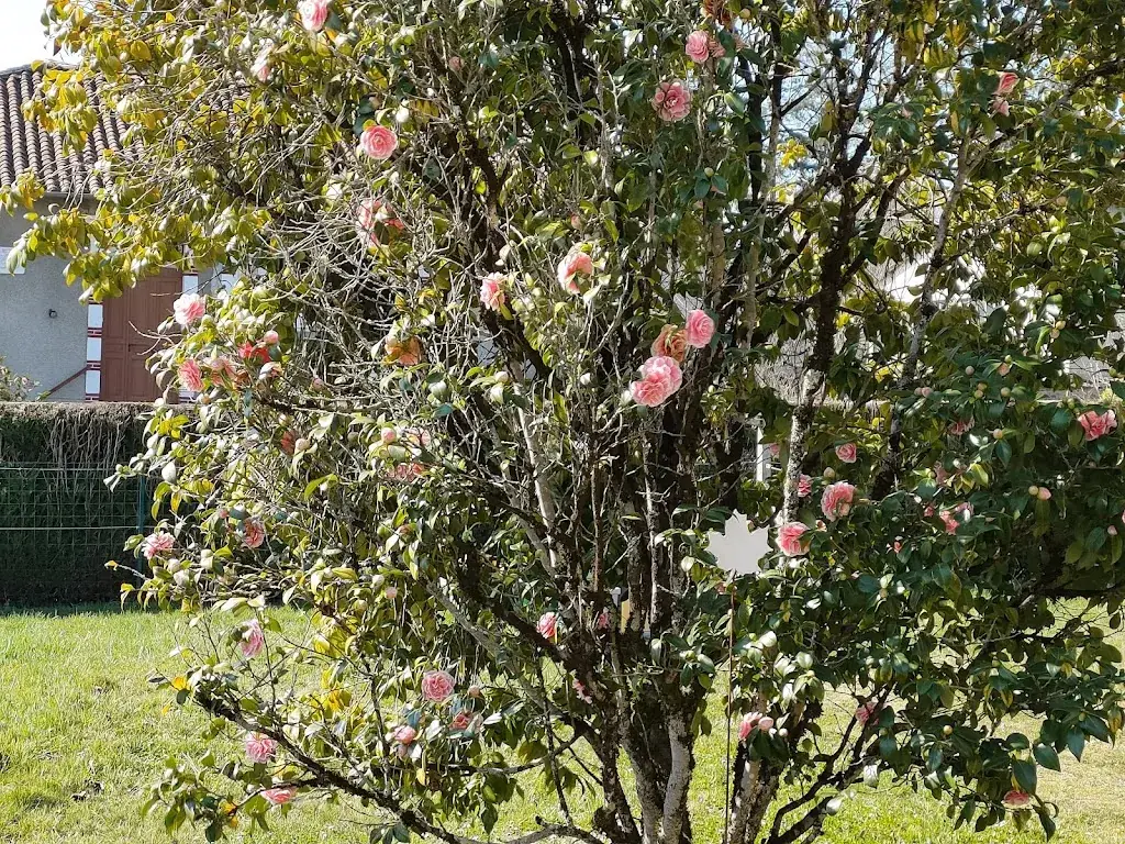 La P'tite Loco_Rochechouart_slider_image_3