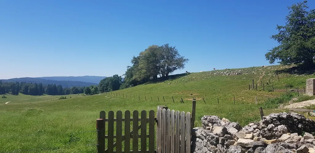 Juju Lawry_Métairie du Grand Coeurie_Rochefort_review